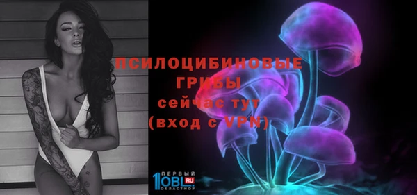 2c-b Россошь