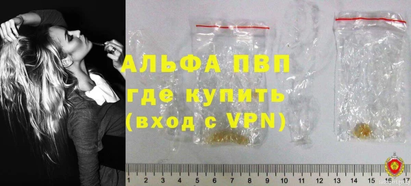 молекула духа Ростов
