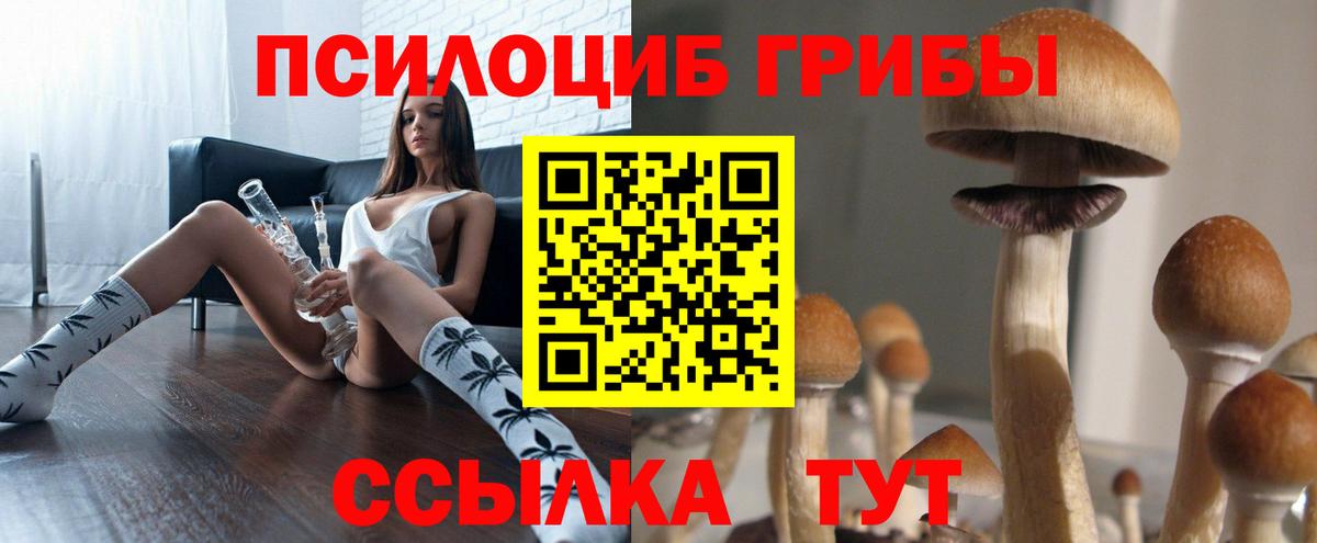 Галлюциногенные грибы GOLDEN TEACHER Альметьевск